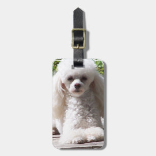 Customize Product Luggage Tag