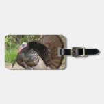 Customize Product Luggage Tag at Zazzle