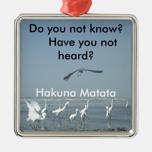 Customize Product Metal Ornament (Front)