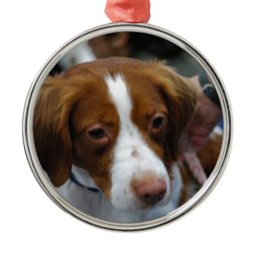Customize Product Metal Ornament