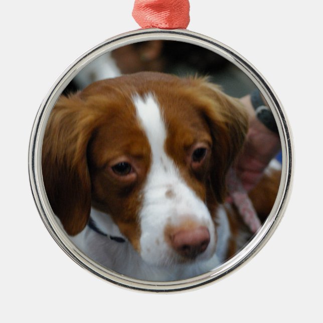 Customize Product Metal Ornament (Front)