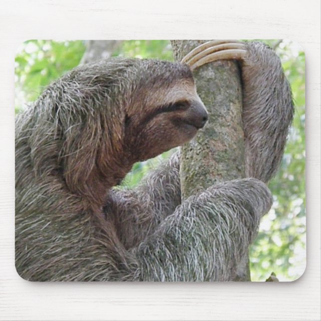 Customize Product Mouse Pad (Front)