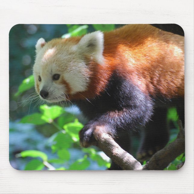 Customize Product Mouse Pad (Front)