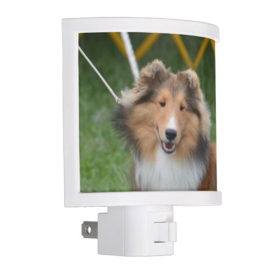 Customize Product Night Light (Right)