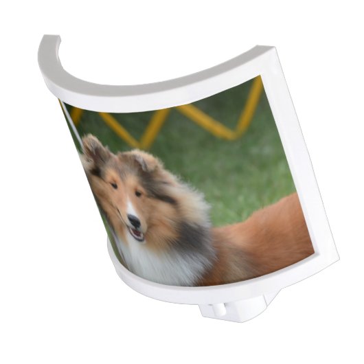 Customize Product Night Light (Angled)