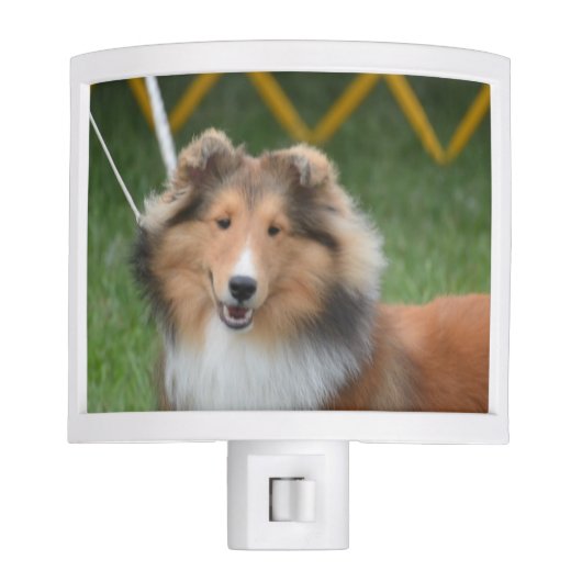 Customize Product Night Light (Front)