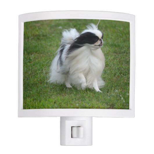 Customize Product Night Light (Front)