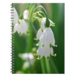 Customize Product Notebook