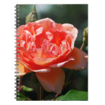 Customize Product Notebook