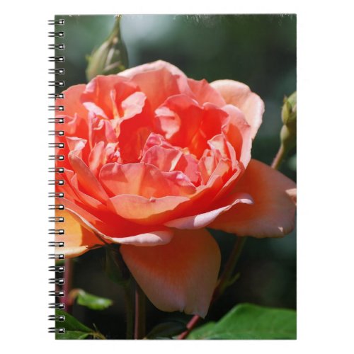 Customize Product Notebook