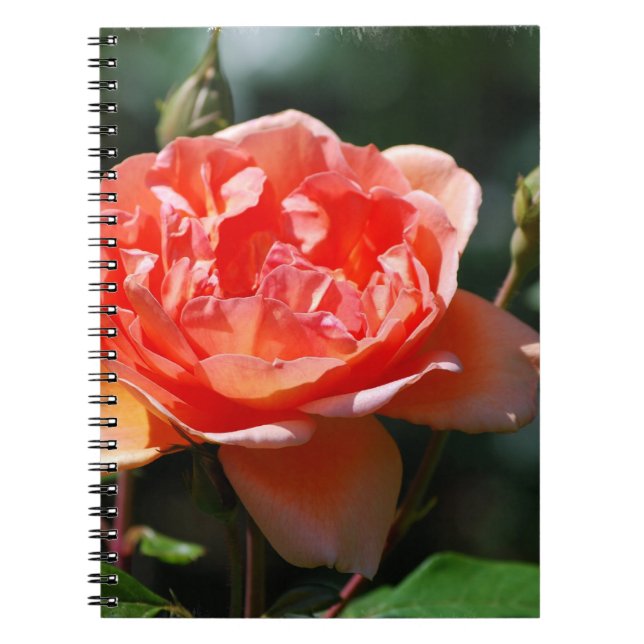 Customize Product Notebook (Front)