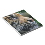 Customize Product Notepad