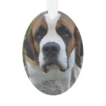 Customize Product Ornament