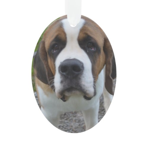 Customize Product Ornament