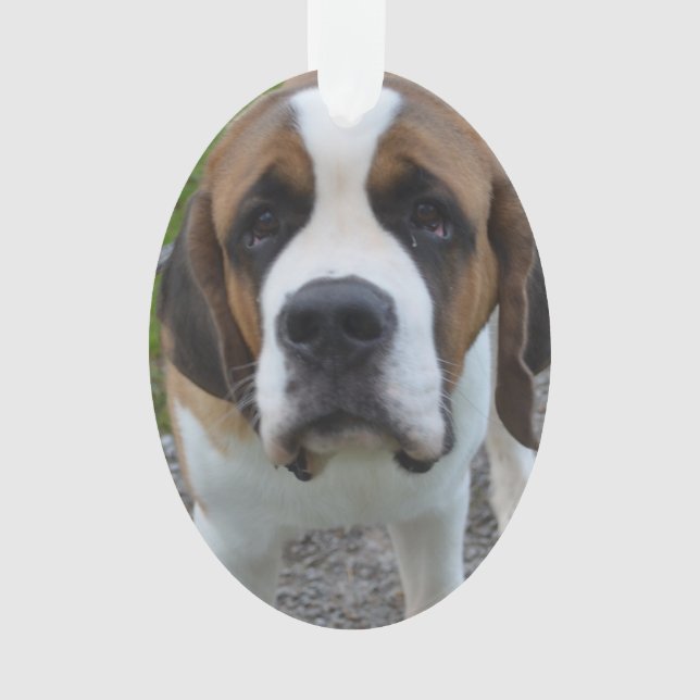 Customize Product Ornament (Front)