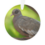 Customize Product Ornament