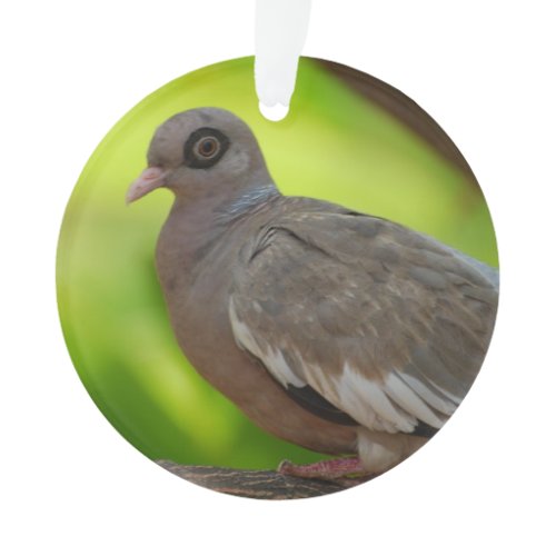 Customize Product Ornament