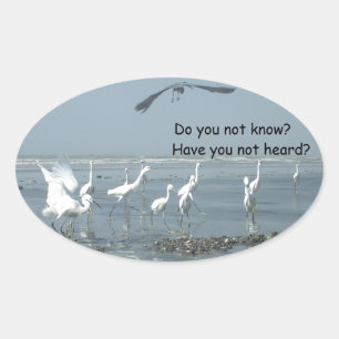 Customize Product Oval Sticker