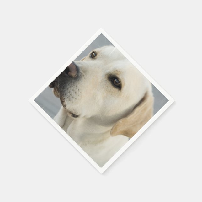 Customize Product Paper Napkins (Corner)