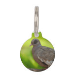 Customize Product Pet Name Tag