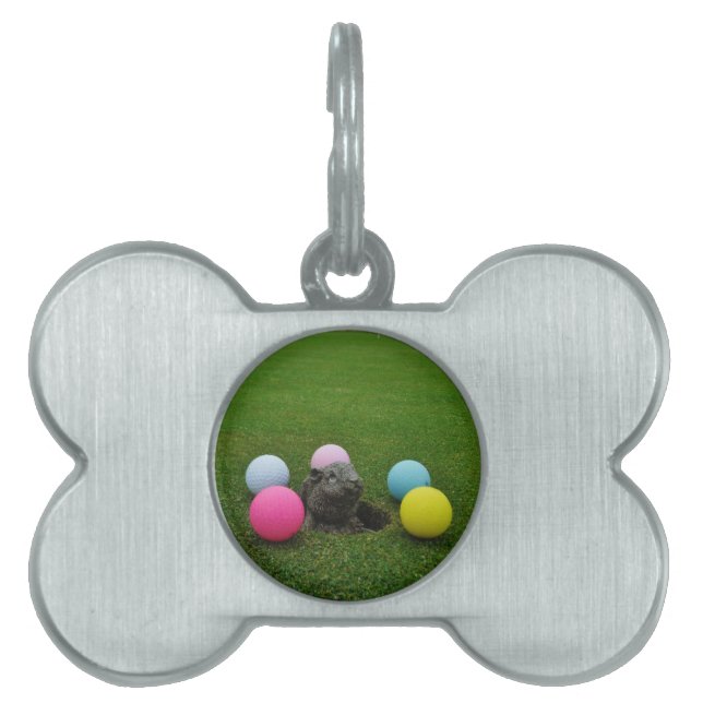 Customize Product Pet Name Tag (Front)