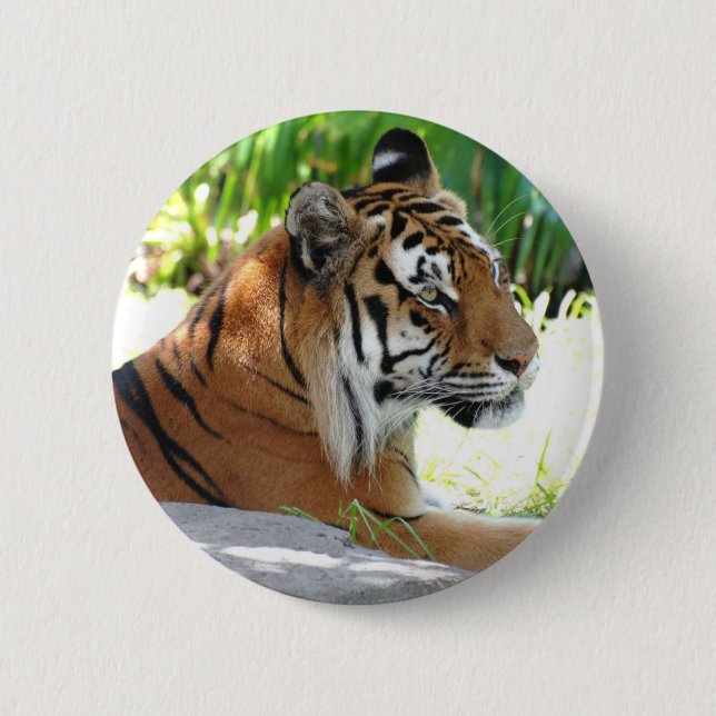 Customize Product Pinback Button (Front)