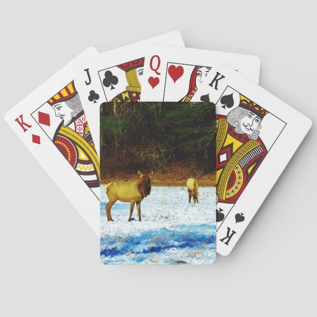 Customize Product Poker Cards (Back)