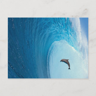 Customize Product Postcard