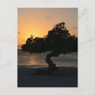 Customize Product Postcard