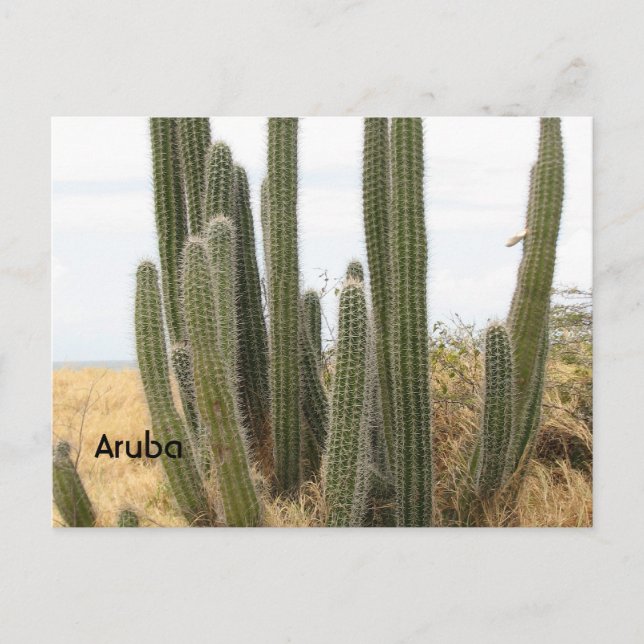 Customize Product Postcard (Front)