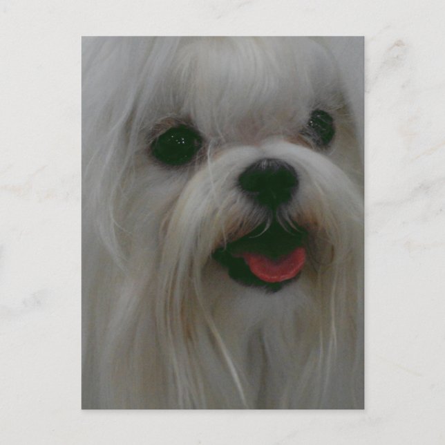 Customize Product Postcard (Front)