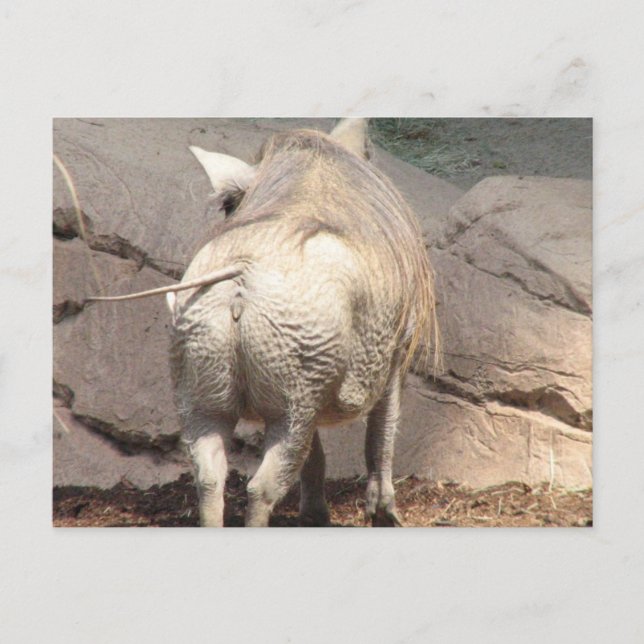 Customize Product Postcard (Front)