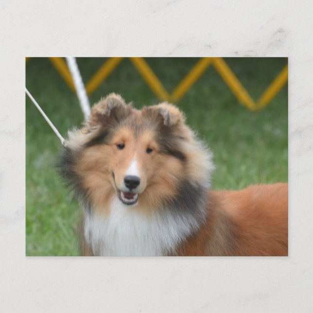 Customize Product Postcard (Front)