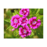 Customize Product Postcard