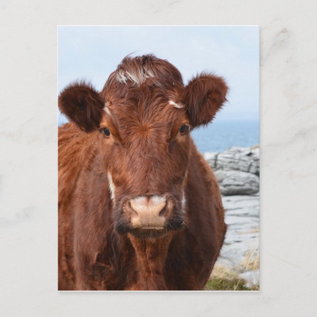 Customize Product Postcard (Front)