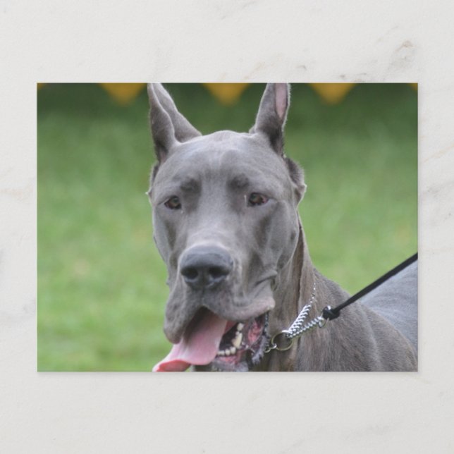 Customize Product Postcard (Front)