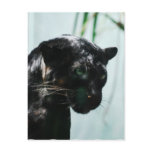 Customize Product Postcard