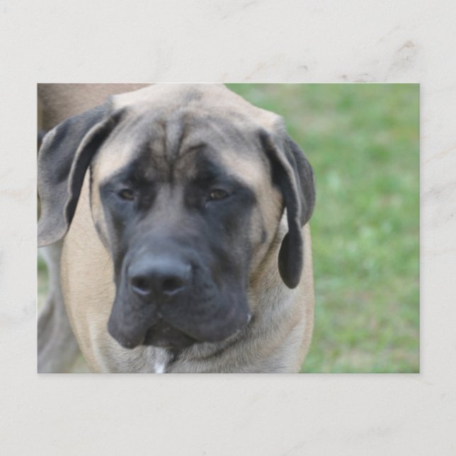 Customize Product Postcard (Front)