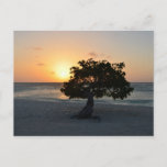 Customize Product Postcard