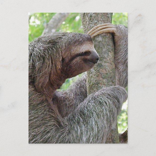 Customize Product Postcard (Front)