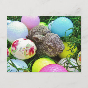Customize Product Postcard