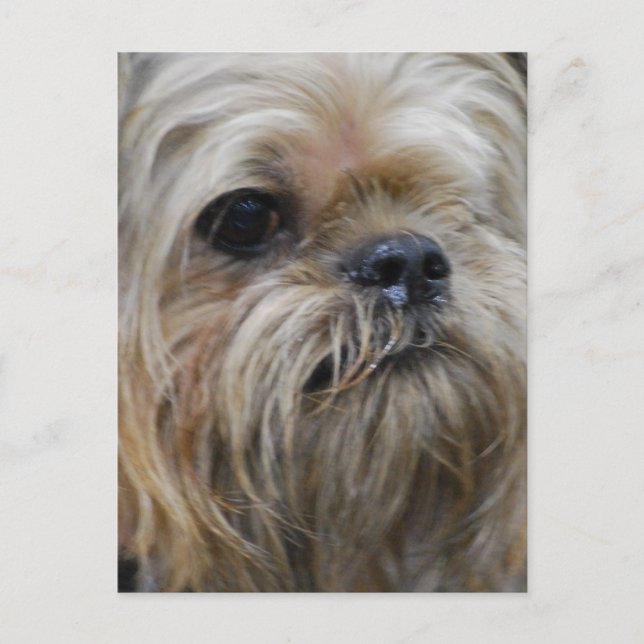 Customize Product Postcard (Front)