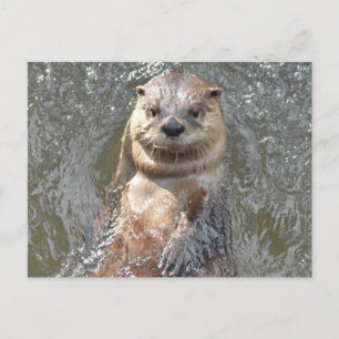 Customize Product Postcard