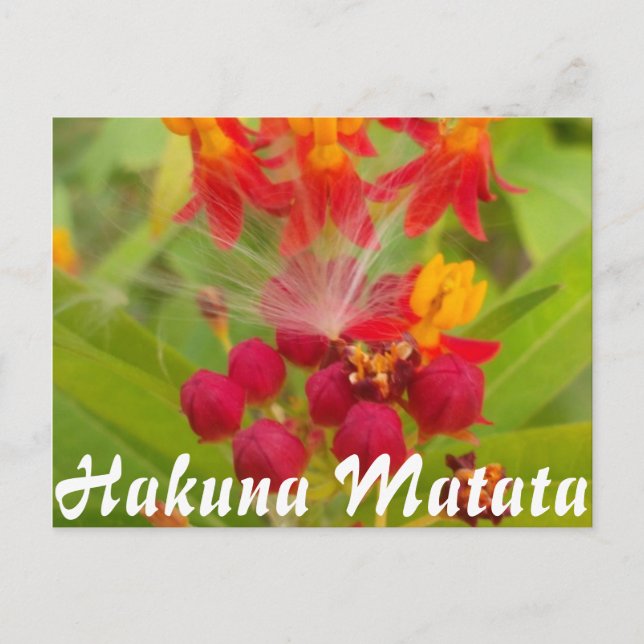 Customize Product Postcard (Front)