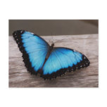 Customize Product Postcard