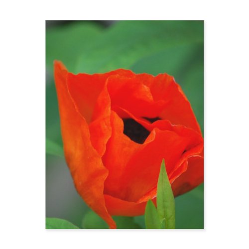 Customize Product Postcard