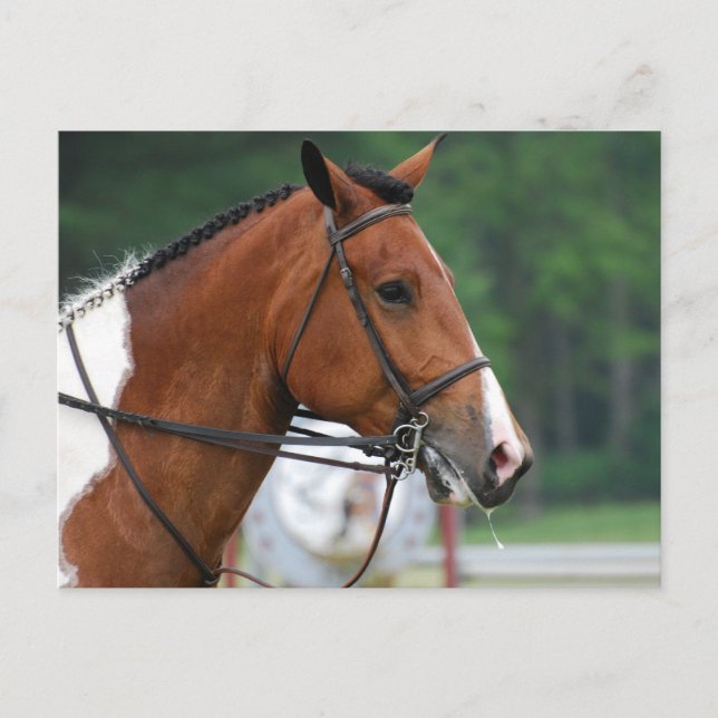 Customize Product Postcard (Front)