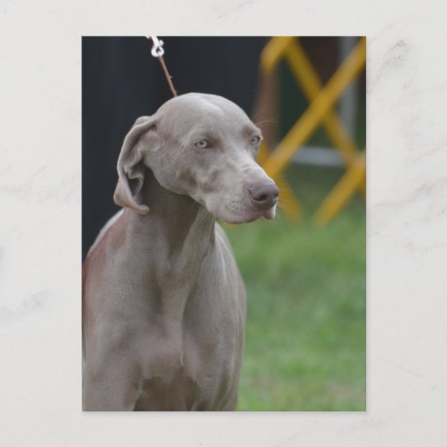 Customize Product Postcard (Front)