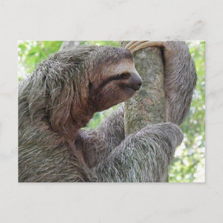 Customize Product Postcard