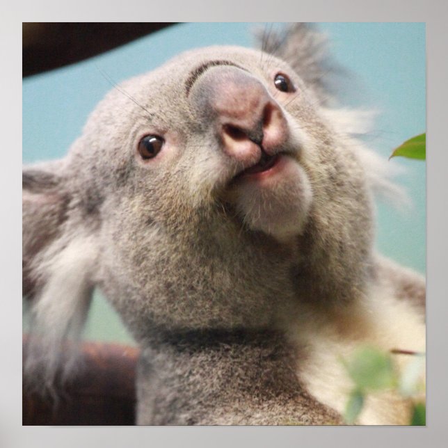 Customize Product Poster (Front)